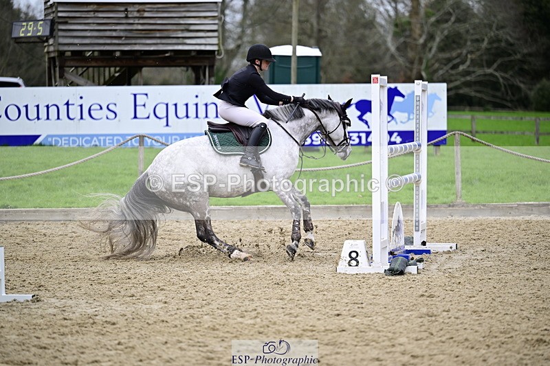 260214A-163600-01462 - 6 Foxhunter and 1m 20 Open