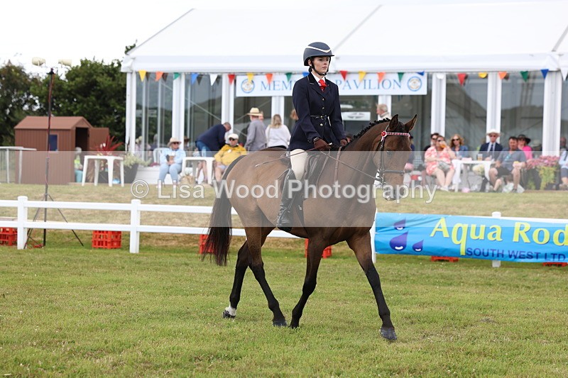 3E7A2380 - Class 11: Retraining of Racehorse