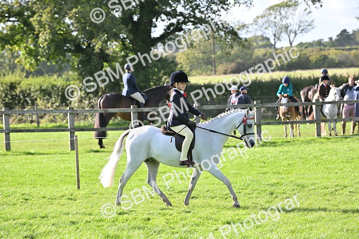SBM_51251 - S22 - First Ridden show and show Hunter Pony