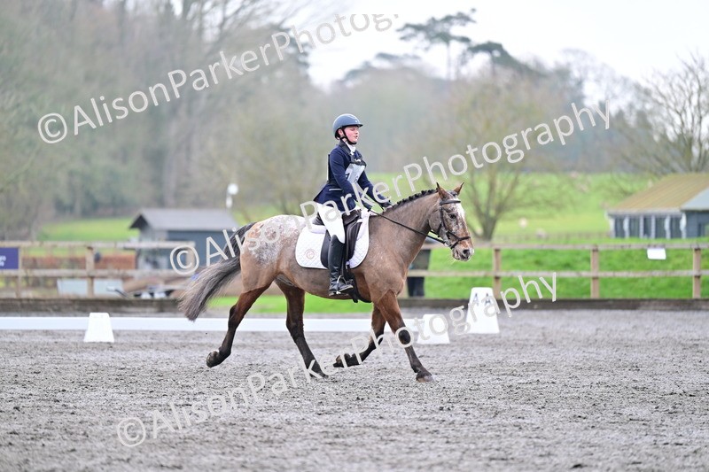 20260125-3679 - Class 12 - Novice