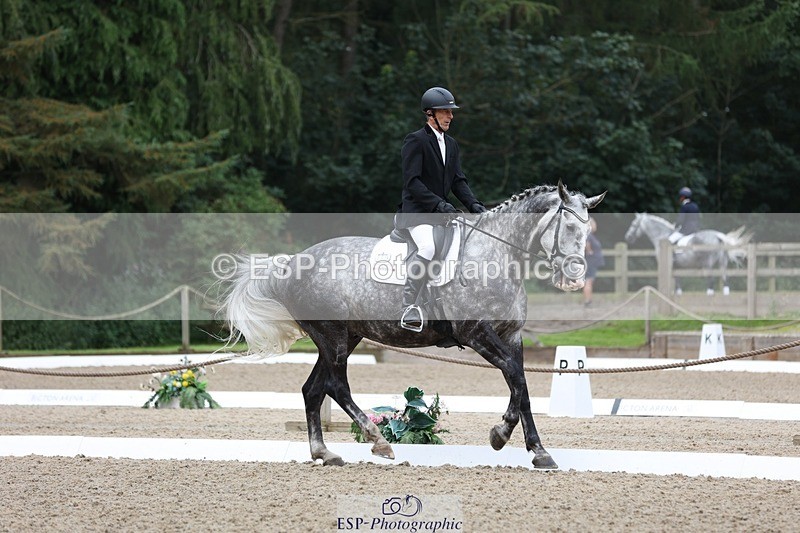 230812-100308-03110 - Cls 5 Novice Bronze Start to 10.55 break