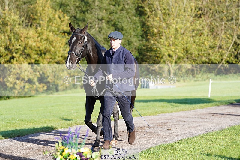 241026-100648-11619 - 058-Jack.Ashworth-TIMEPEICE.BLUE