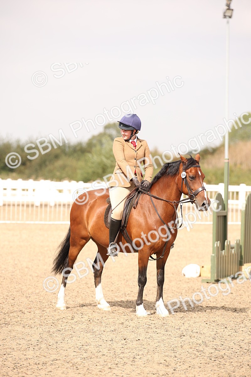 SBM_12234 - Class 405a - M&M Working Veteran 50cm (15-19)