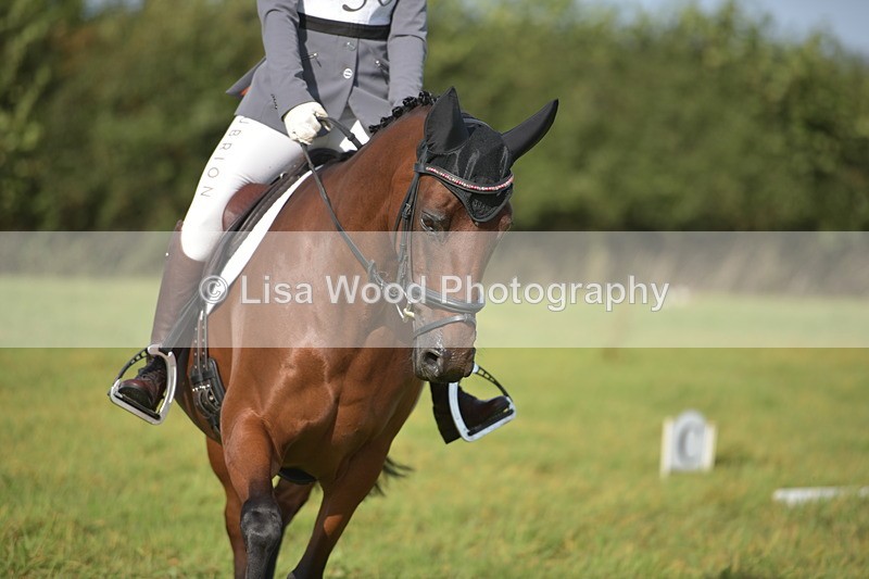 RAY_7554 - Class 2B: Trekenning Open: Dressage