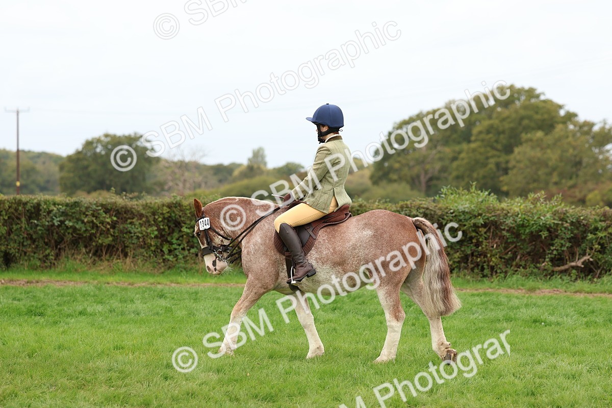 SBM_64489 - S58 - Coloured Pony Ridden