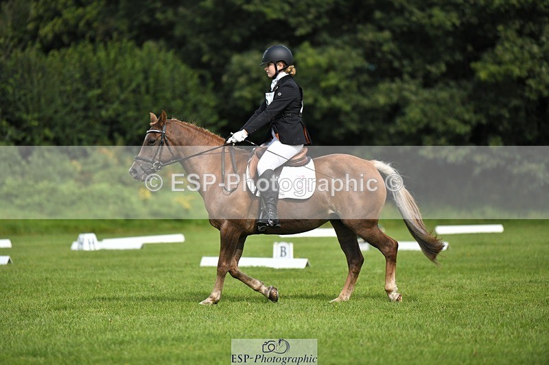 230826-104654-15609 - Sections C & D 10 to End