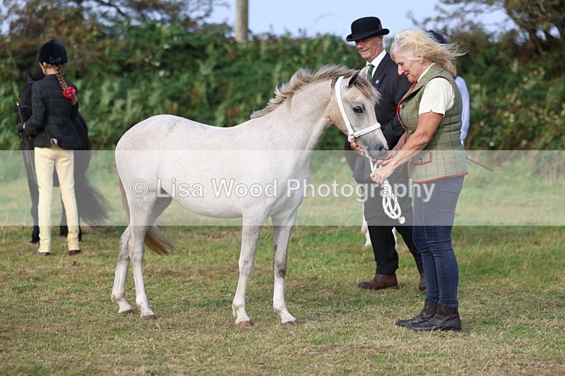 3E7A3251 - Class 12: M & M Small Breeds