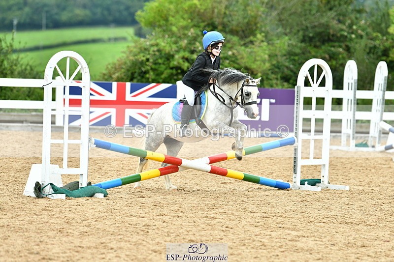 230804A-120640-02446 - Showjumping Competition