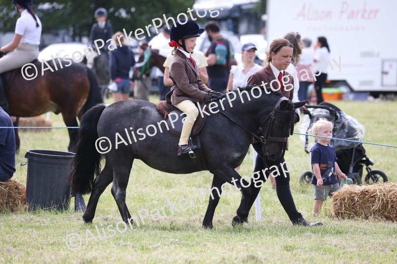 20260614-0796 - Class 20 - Beginners Working Hunter Pony