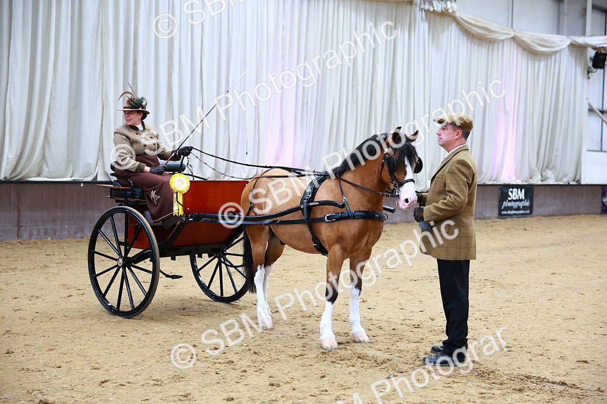 SBM_000215 - Class 3 - Alison Thomas Memorial Lady Whip