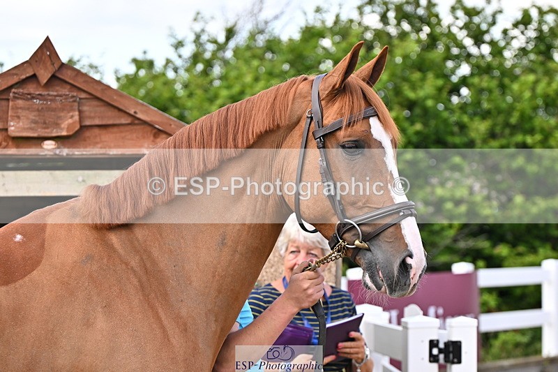 240718A-105253-01281 - Trot Up 12pm to 1pm