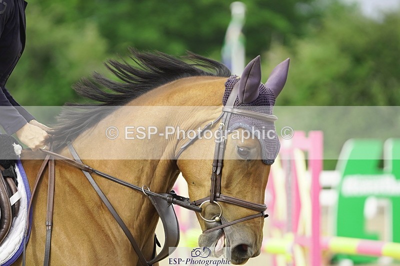 230729A-093732-04370 - Cls 20 British Novice & 90cm Open