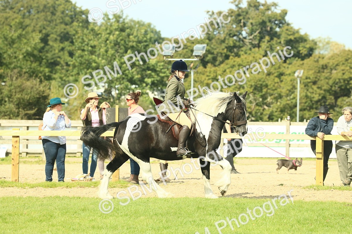 SBM_68809 - S58 - Mini Show Cob Ridden