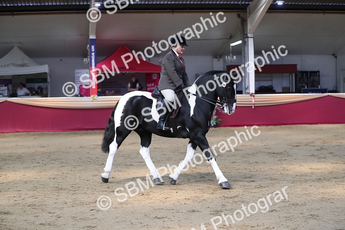 SBM_02914 - Class 6a Area Ridden Pre Vet