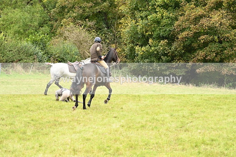 WJ7_4152 - Camera 1 Line 2