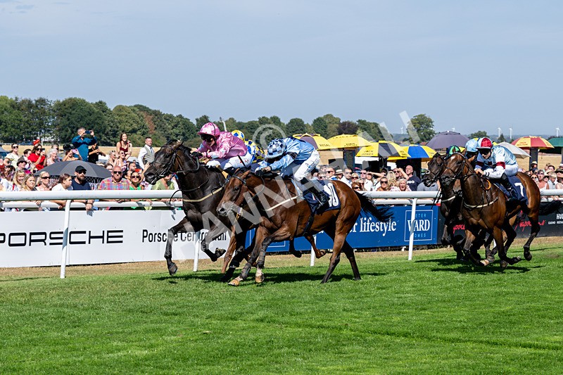 120826-Race 3-Sir David-6129 - Race 3 15.15pm Clearanswer Call Centres Handicap