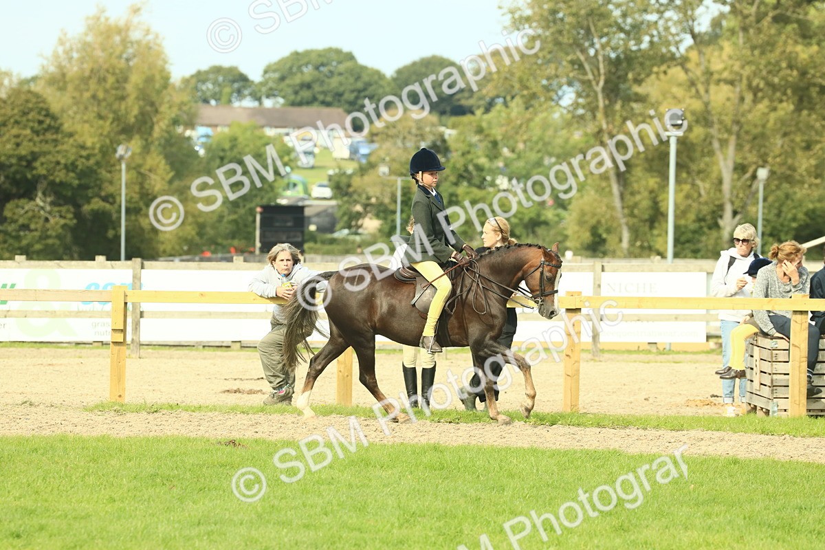 SBM_68067 - S57 - Part Bred Pony Ridden