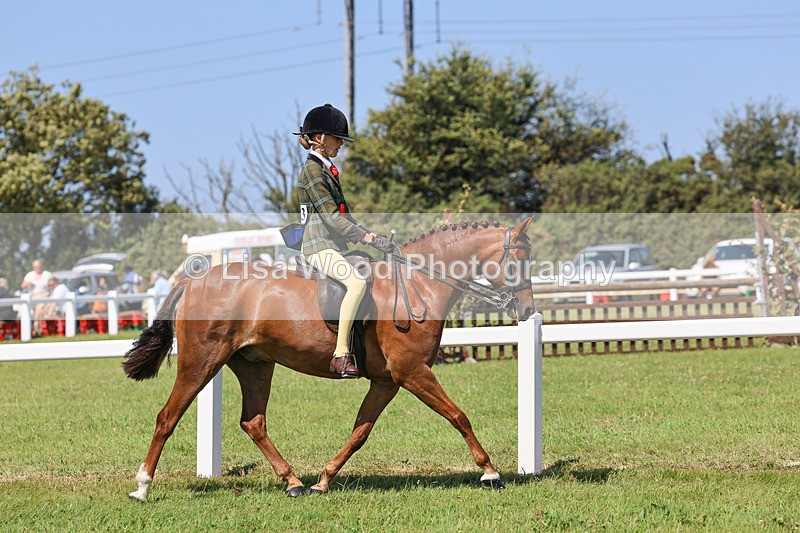 IMG_2125 - Plaited Ridden Championship