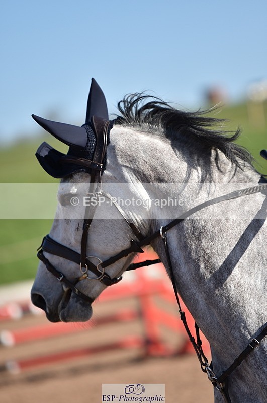 240306A-101250-00725 - Cls 1 British Novice and 90cm Open