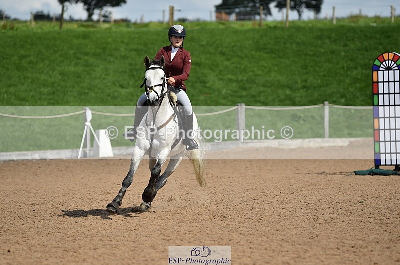 230902A-135802-01552 - Cls 3B Pony Medium 90cm