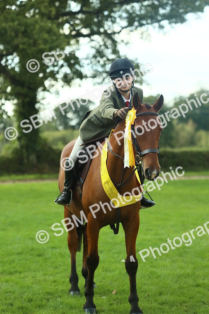 SBM_52211 - S33 - Working Hunter & Working Show Horse