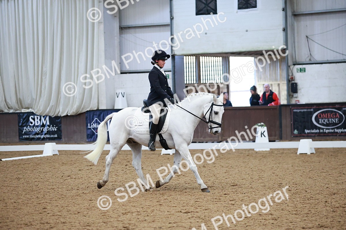 SBM_004489 - Ring 3 - International -  Working Hunter Classes 23-2-25