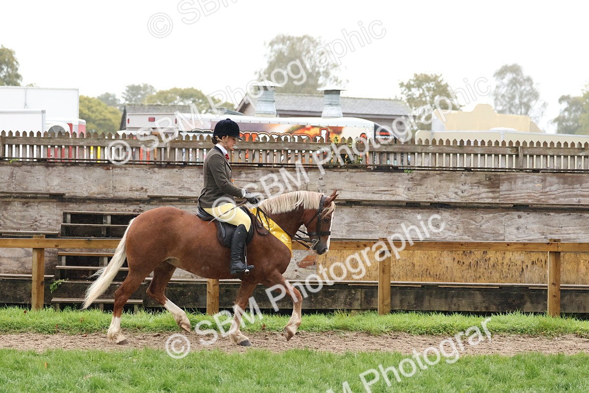 SBM_73108 - Ridden Pony Supreme Championship