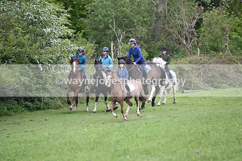 WJ6_2951 - A Camera