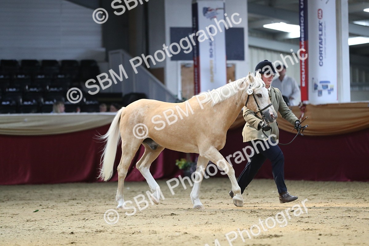 SBM_04389 - Class 7R Regional - IH Diamond