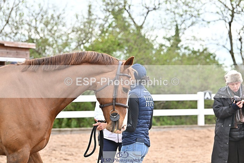 250423-164733-02256 - 4pm to 5pm