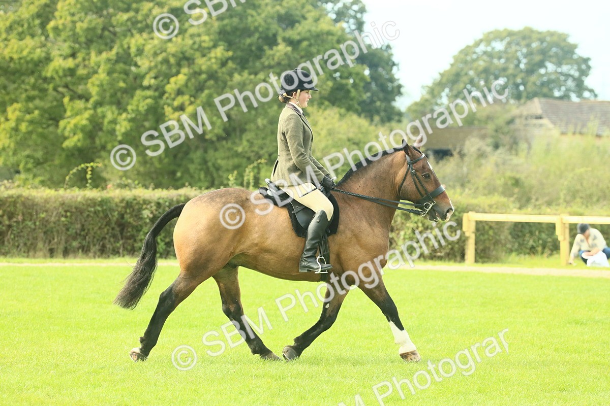 SBM_68214 - S58 - Mini Show Cob Ridden