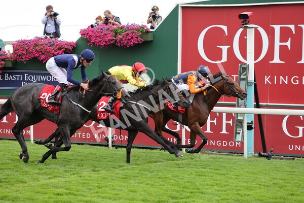 yr19082021r2-26 - Race 2 2.25pm Goffs UK Premier Yearling Stakes