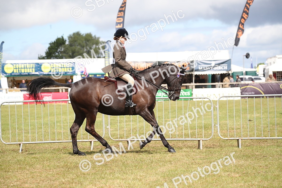 SBM_13203 - Class 95-96 - LIHS BSHA Rising Star Hack Riding Horse
