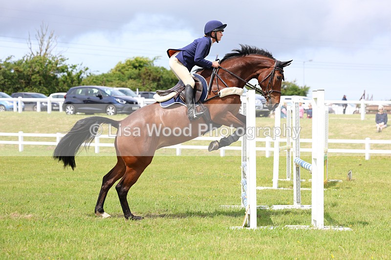 3E7A7385 - Class 13: Senior British Novice/90cm open