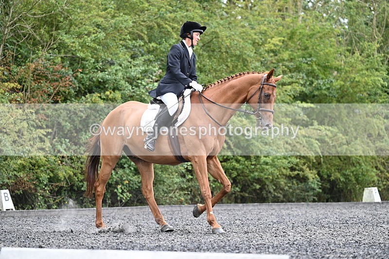 WJ7_7239 - Time 12:53 to 13:18