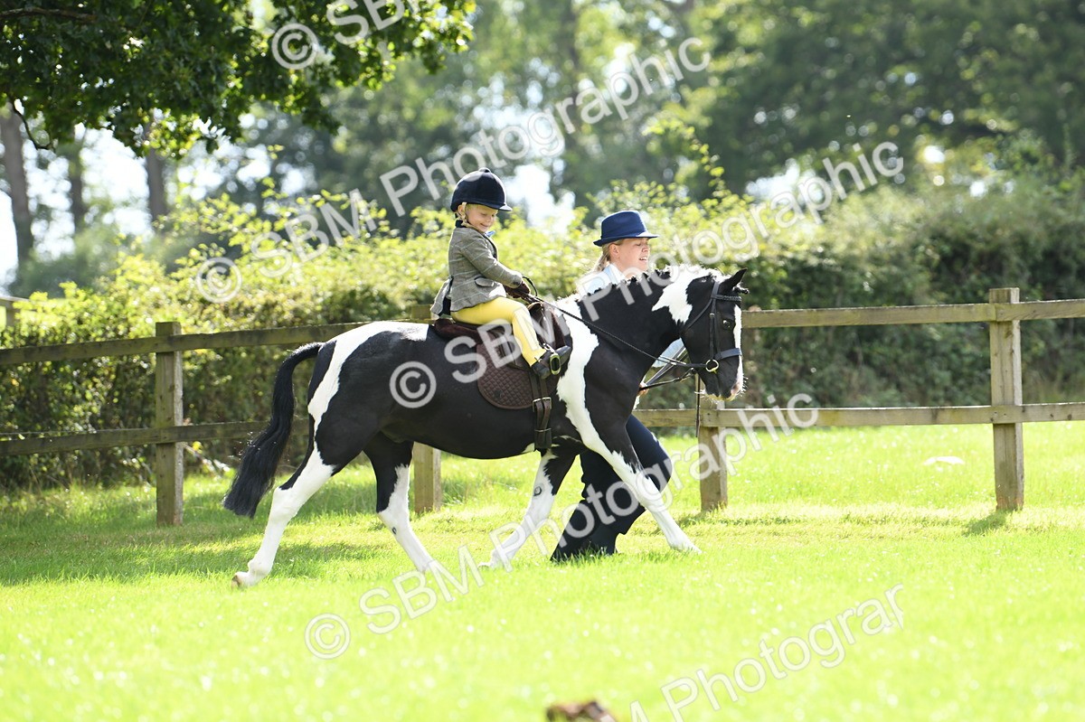 SBM_41149 - S19 - Lead Rein Show & Show Hunter Pony