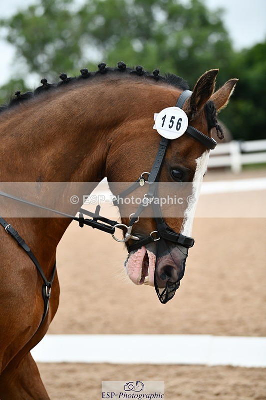 250705-100115-00115 - BRCP1 Sections BRCP1SNR, BRCP1JNR 09-30 to 10-40