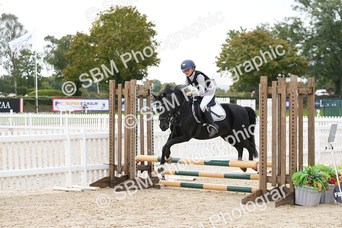 SBM_39841 - J6 - Junior Pony 55cm Championship