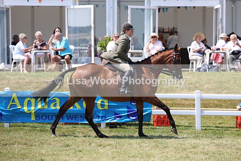 3E7A9315 - Class 12: Open Racehorse to Show Horse