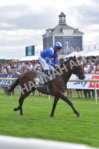yr17082022r4-63 - Race 4 3.35pm Juddmonte International Stakes (British Champions Series Race)