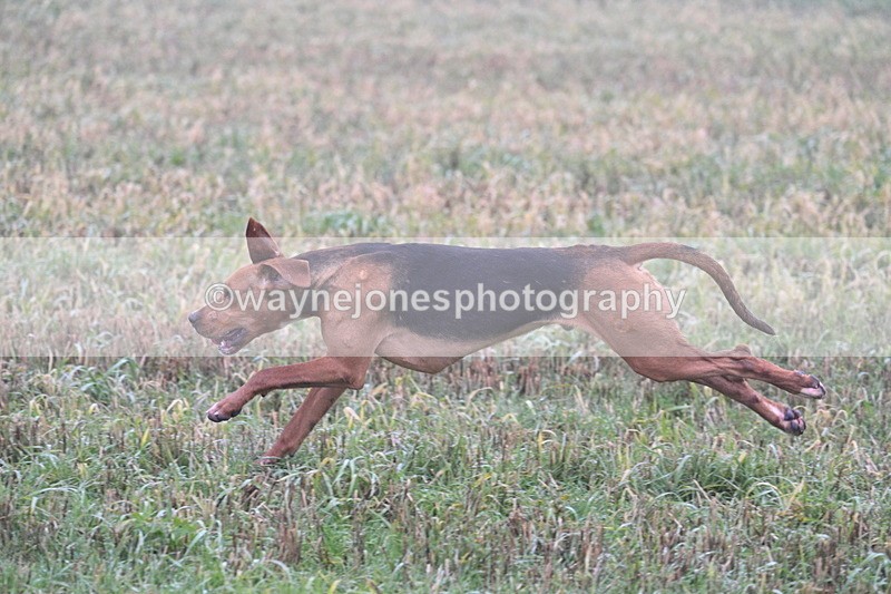 WJ7_3337 - Line 2 A&B