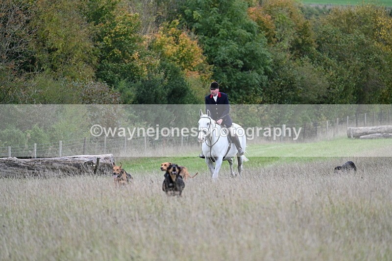 WJ7_3553 - Camera 1 Line 1