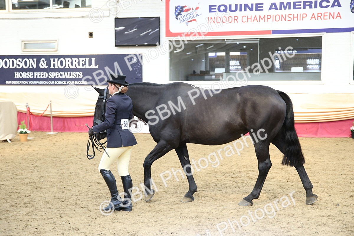 SBM_24247 - Class 905 - Supreme Final - Ridden Veteran
