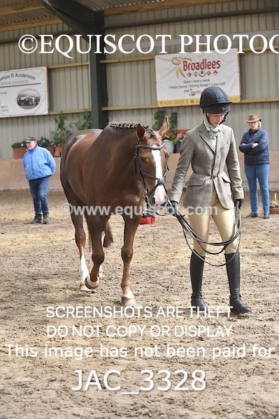 JAC_3328 - CLASS 8 BHS Scotland Riding Club Working Hunter Qualifier