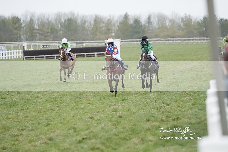 PtP 260323 1104 - New Forest Hounds Point-to-Point Larkhill 26/03/23