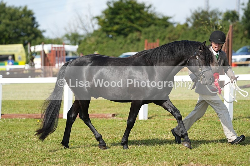 DSC05114 - Class 48: NPS M&M 2/3 year olds
