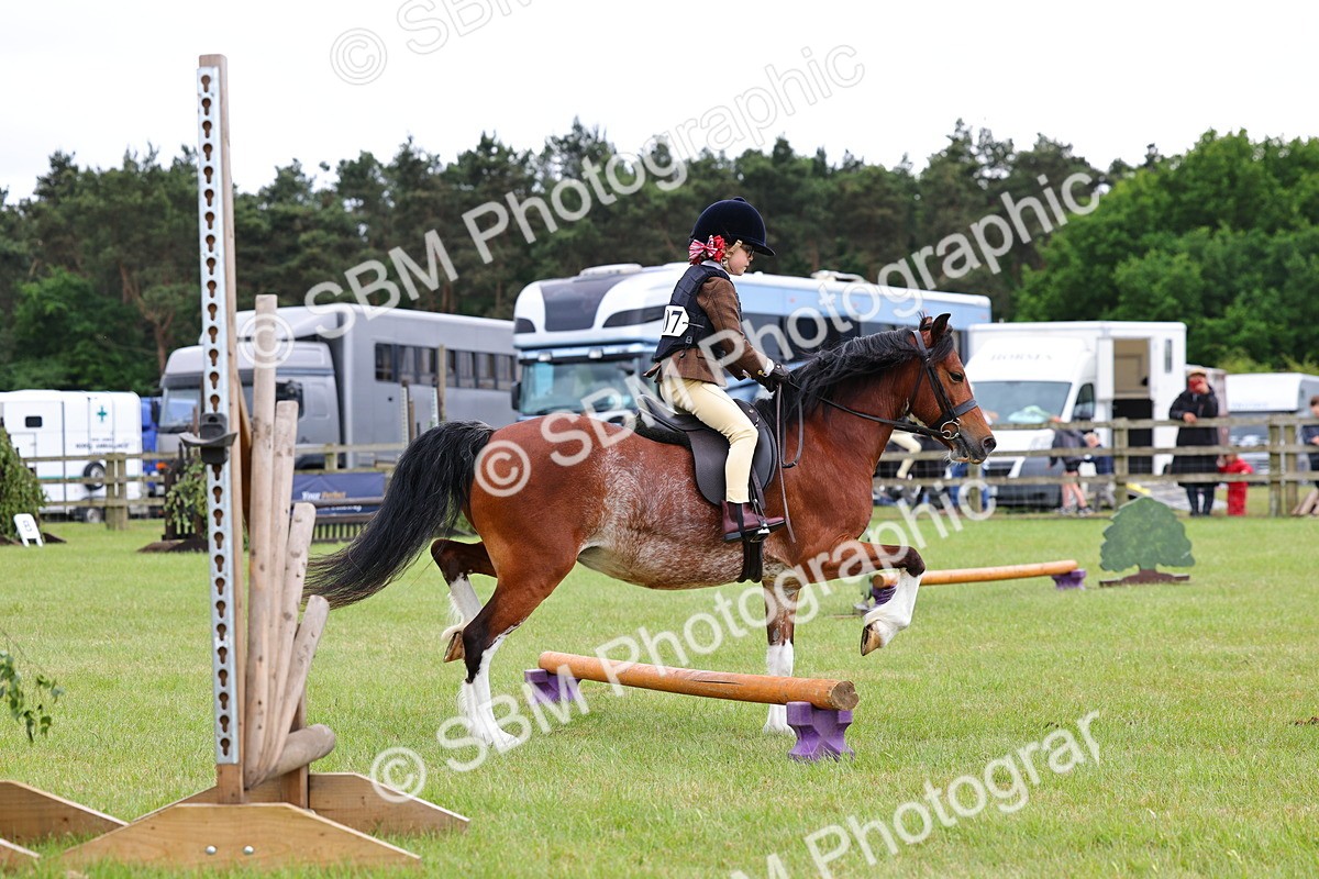 SBM_08776 - Class 42-43 - LIHS BSPS Heritage Working Sports Pony