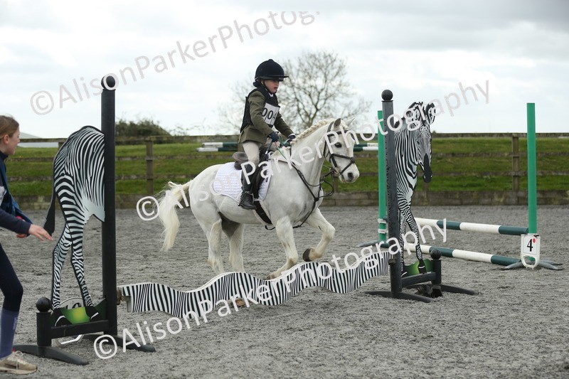 20260412-0667 - Show Jumping