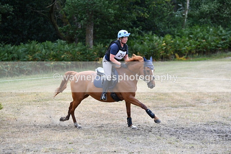 WJ5_0219 - Time 13:02 to 13:22