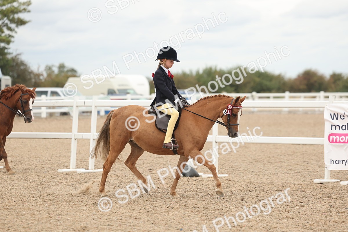SBM_19110 - Class 316 - Best Pony-Rider Combination